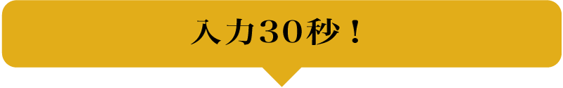 入力30秒！