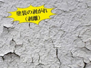 塗膜の剥がれ(剥離)