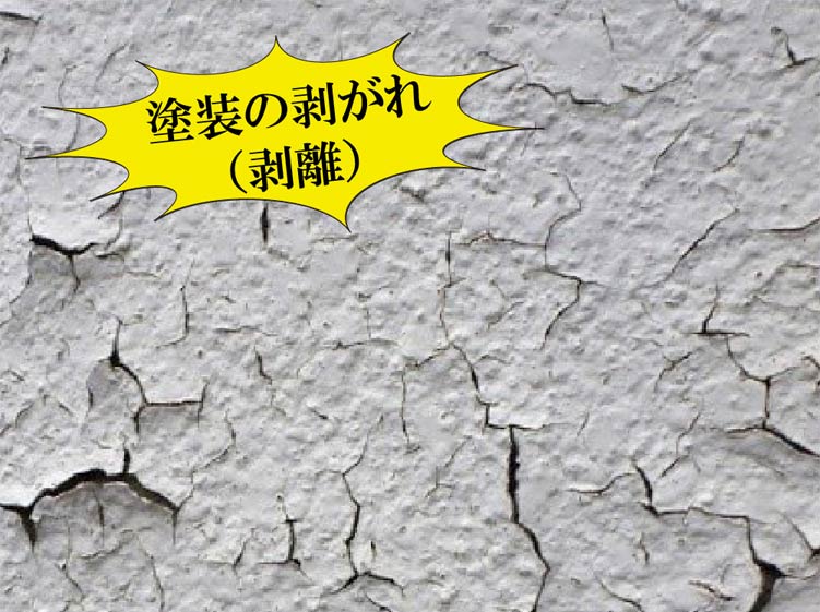 塗膜の剥がれ
