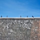 屋根塗装の耐用年数はズバリ10年が目安！塗り替えるべきタイミングを徹底解説