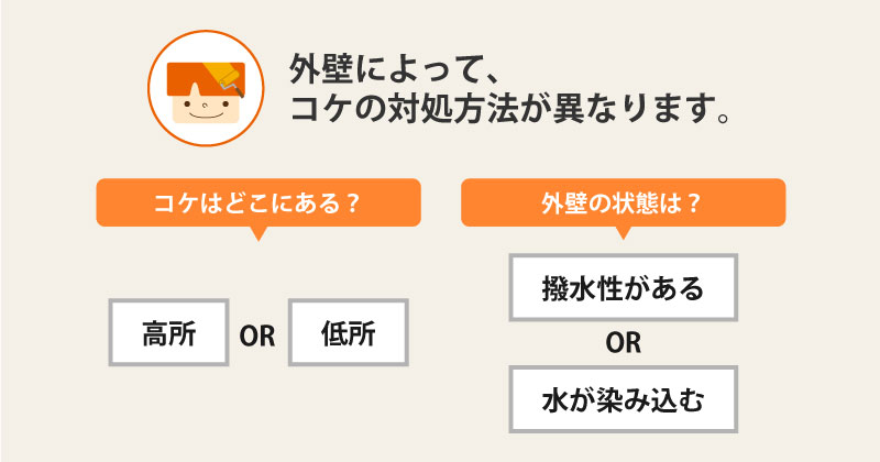 外壁のコケを除去する方法