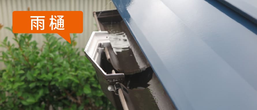 雨樋