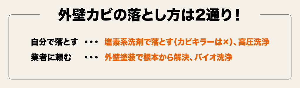 外壁カビの落とし方